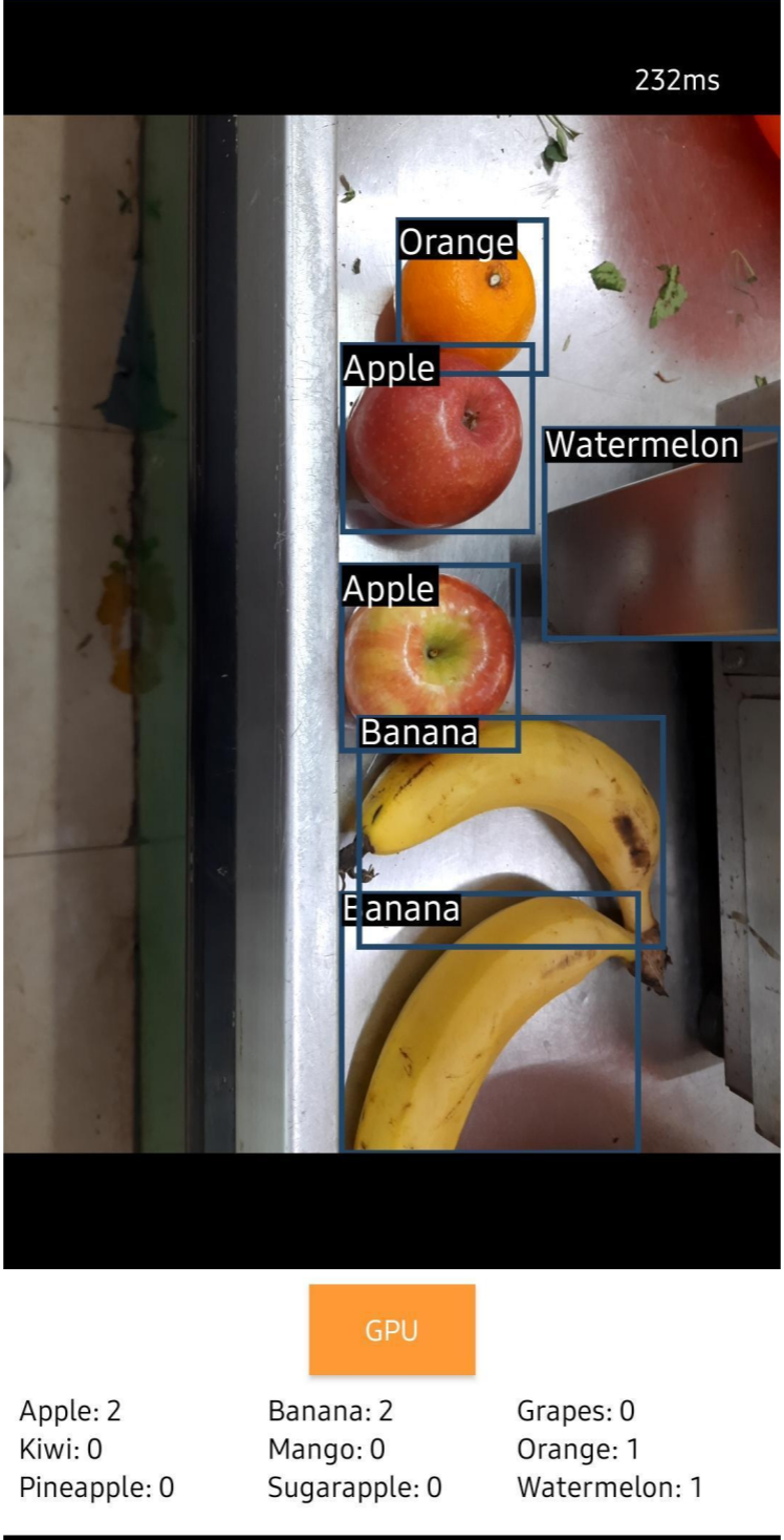 Fruit Detection