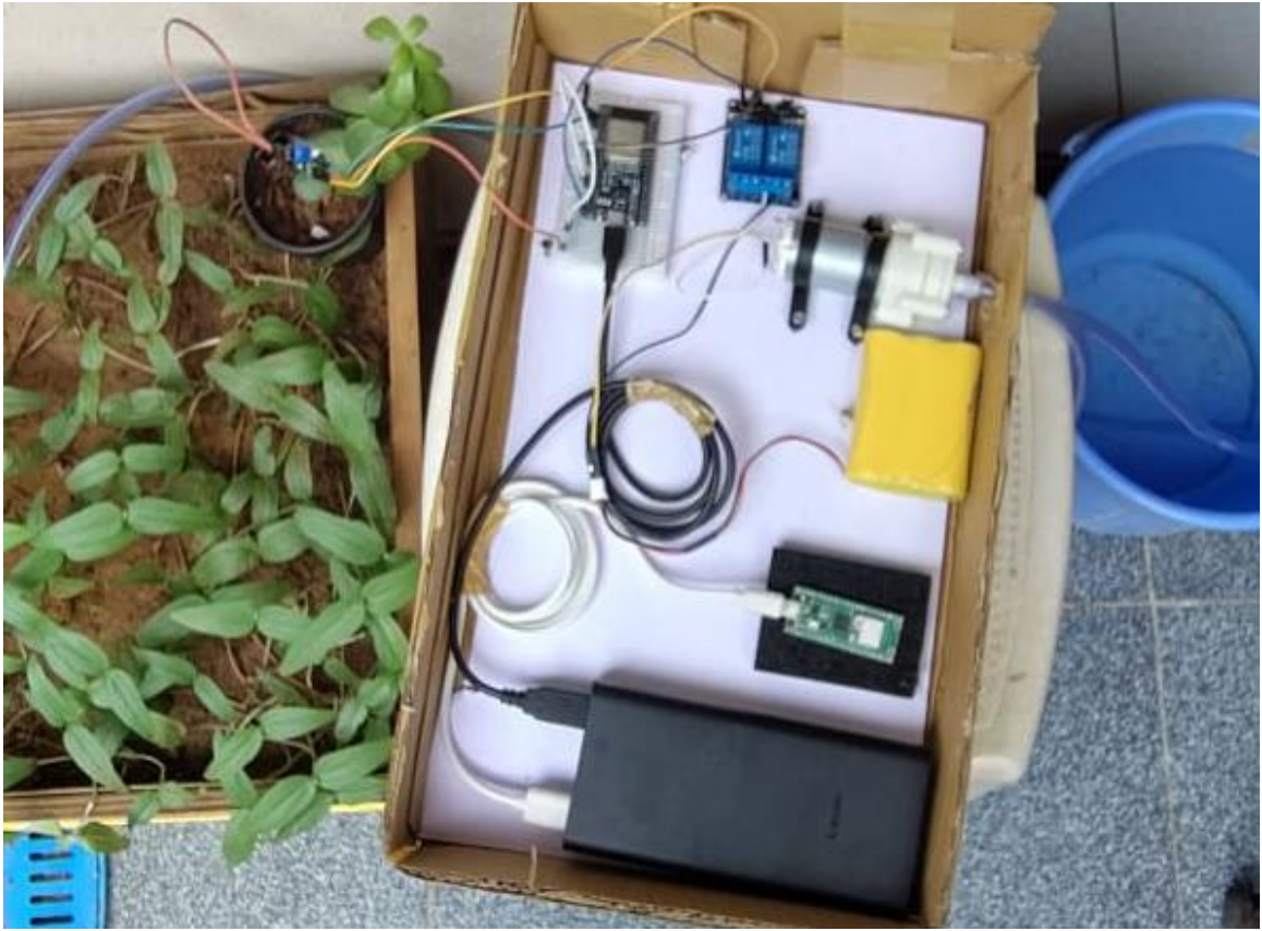 Smart Irrigation