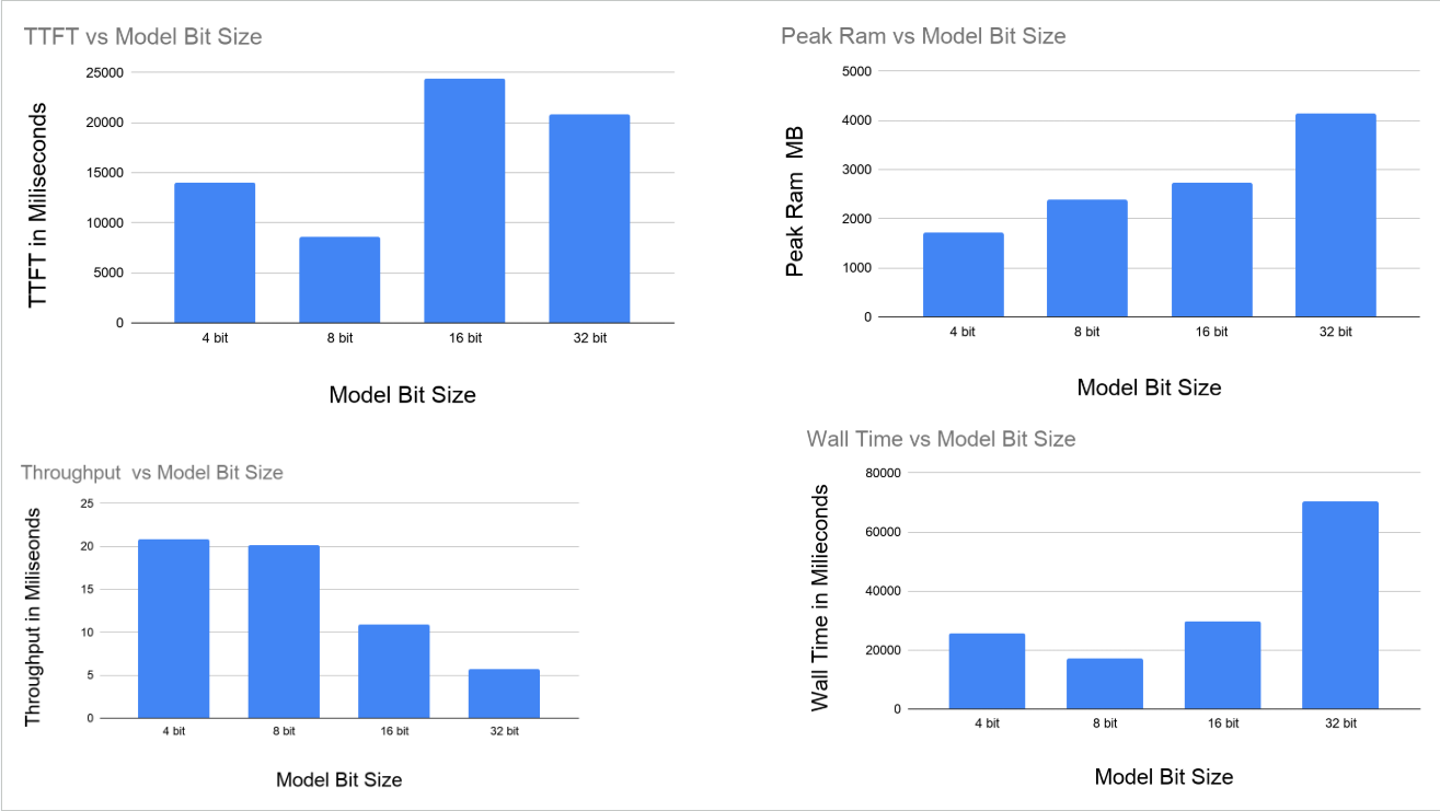 Model Performance on Quantized Versions