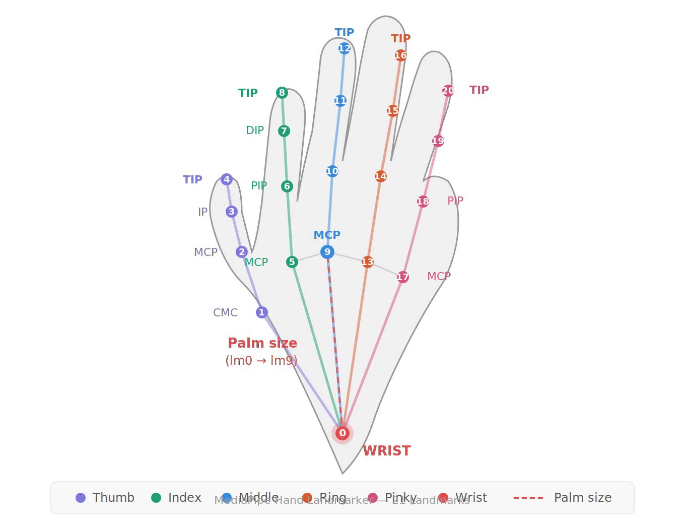 MediaPipe 21 Hand Landmarks
